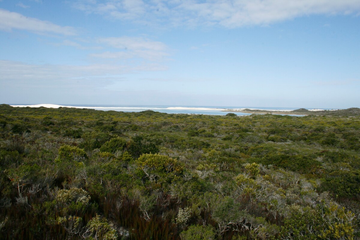 View of nature reserve