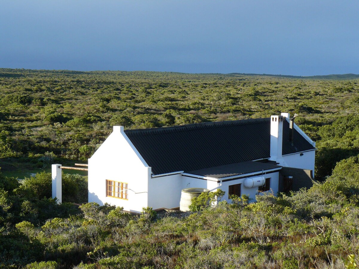 Back of cottage