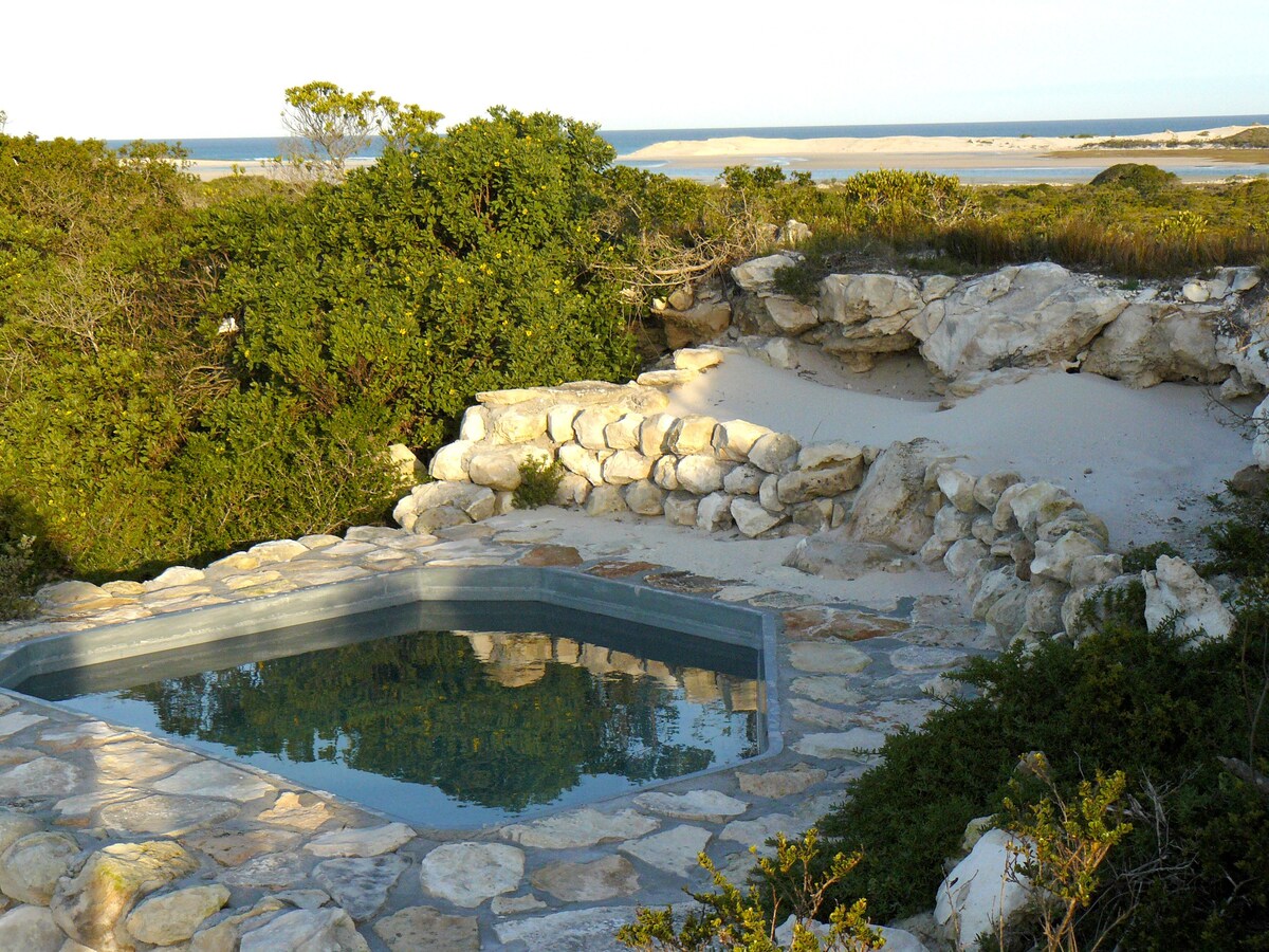 Plunge pool with view